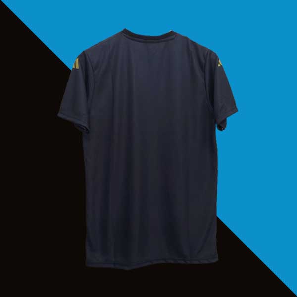 Argentina 2024-25 pre match jersey cyberried product back